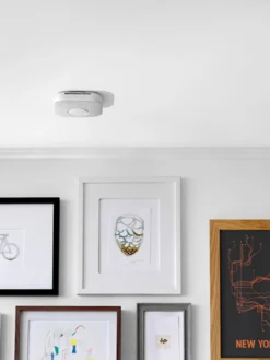 Google Protect 2nd Generation Smoke Alarm - Battery Operated -Rust-Oleum || d-c-fix || Harris Sales KKD4P SQ4 0000000088 NO COLOR SLd2