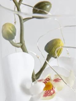 Hestia Glass Tube With Artificial Flower And 6 Led Lights 20cm -Rust-Oleum || d-c-fix || Harris Sales NFKA7 SQ4 0000000013 WHITE SLd2