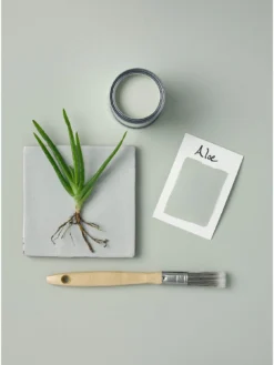 Rust-Oleum Washable Matt Finish Kitchen Cupboard Paint – Aloe -Rust-Oleum || d-c-fix || Harris Sales RRMU4 SQ4 0000015392 ALOE SLd1