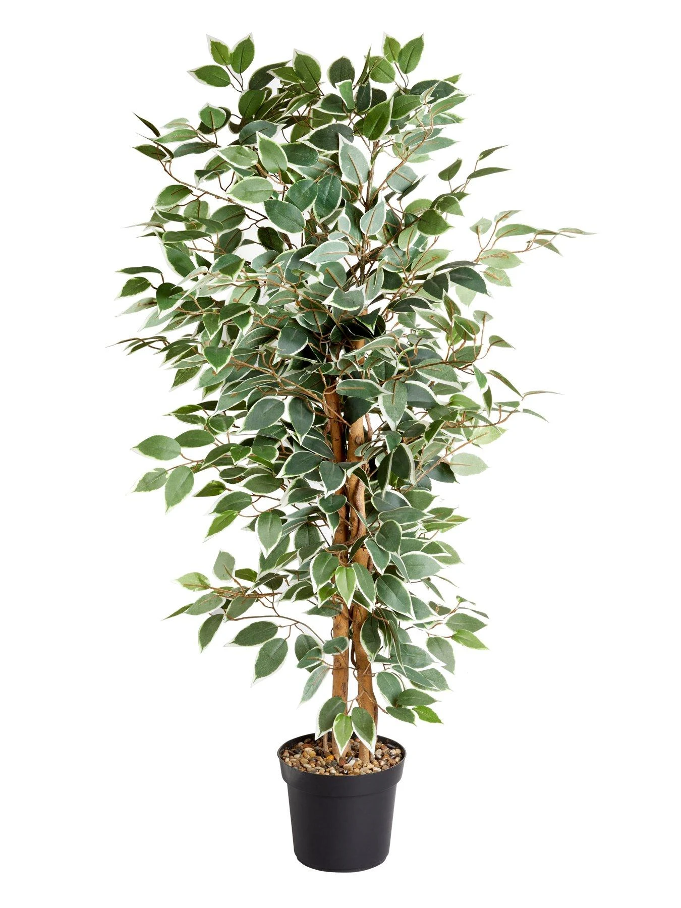 Faux D??cor By Smart Garden Products Weeping Fig Artificial Plant In Pot 2 Faux D??cor By Smart Garden Products Weeping Fig Artificial Plant In Pot - Image 2
