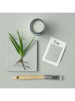 Rust-Oleum Bathroom Wall Paint In Aloe – 2.5-litre Tin -Rust-Oleum || d-c-fix || Harris Sales V7XXL SQ4 0000015392 ALOE SLd1