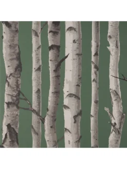 Fine Décor Birch Tree Wallpaper - Hunter Green 8 Fine Décor Birch Tree Wallpaper - Hunter Green -Rust-Oleum || d-c-fix || Harris Sales VNM99 SQ3 0000000099 N A SLd
