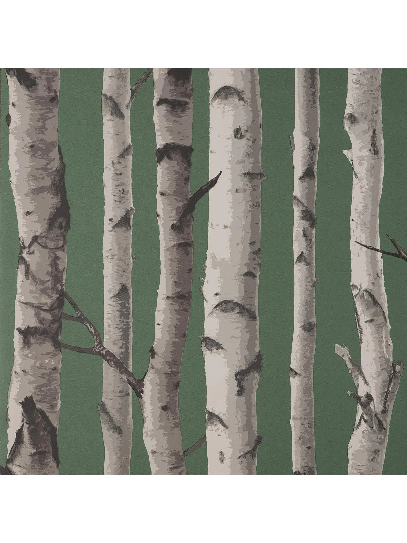 Fine Décor Birch Tree Wallpaper - Hunter Green 3 Fine Décor Birch Tree Wallpaper - Hunter Green - Image 3