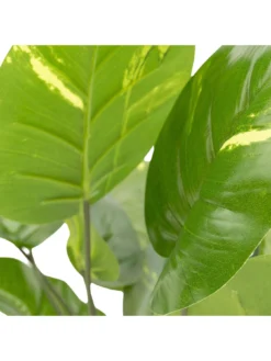 Very Home Large Faux Plant In Round Planter -Rust-Oleum || d-c-fix || Harris Sales VP0JF SQ4 0000000047 GREEN SLd2